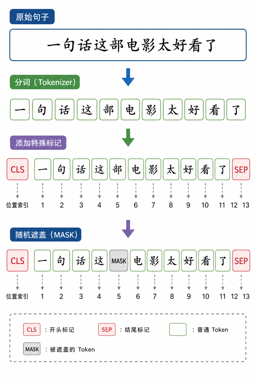 一句话被 tokenizer 拆成 token 序列，[CLS] / [SEP] / [MASK] 的位置