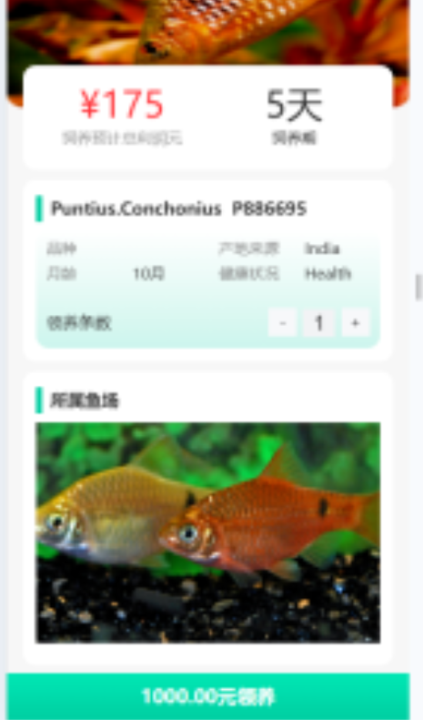 image-20250510132107277