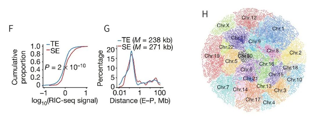 中科院Nature级RIC-seq技术，捕获RNA相互作用位点-CSDN博客