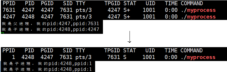 image-20251206152432226