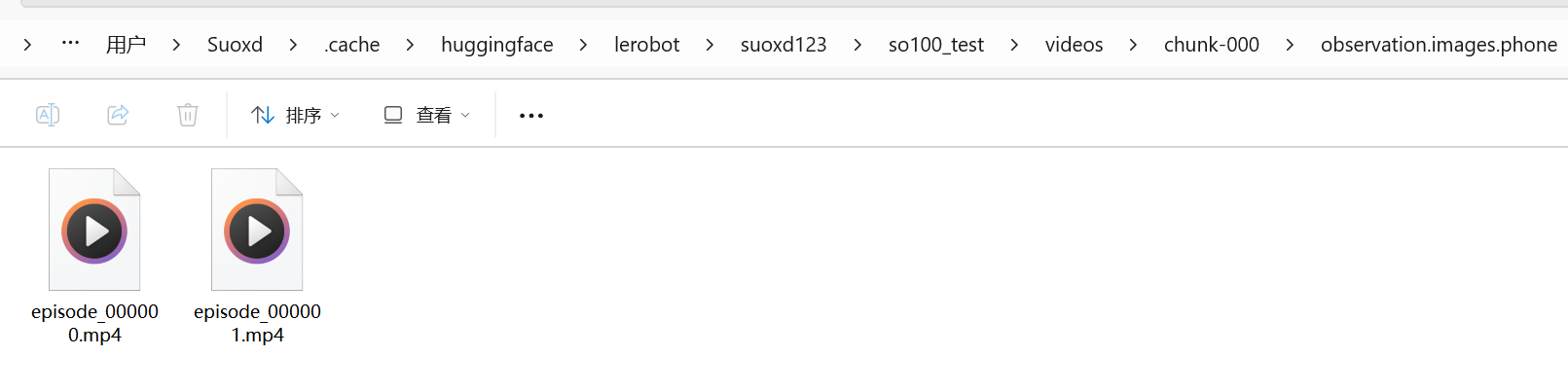 lerobot机械臂的标定、遥控、数据录制、训练、源码解读_lerobot_27