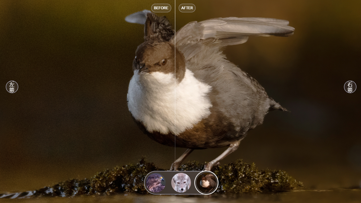 Topaz Photo AI4.0（简体中文汉化版）一款人工智能AI模糊图片变清晰软件_topaz photo ai 4