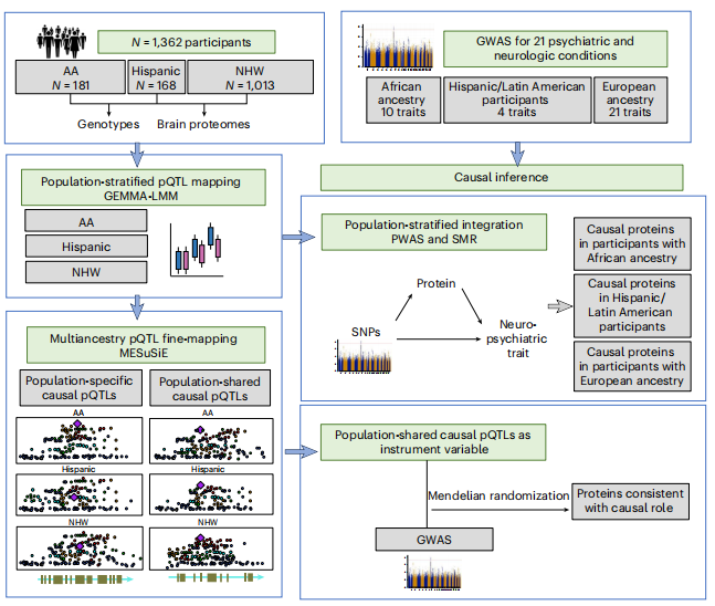 image https://i-blog.csdnimg.cn/img_convert/0c7d3236a2dc85a338bee8a40898b5ff.png