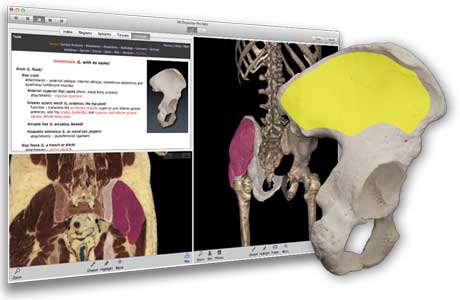 VH Dissector Pro 6（医学图像软件）-CSDN博客