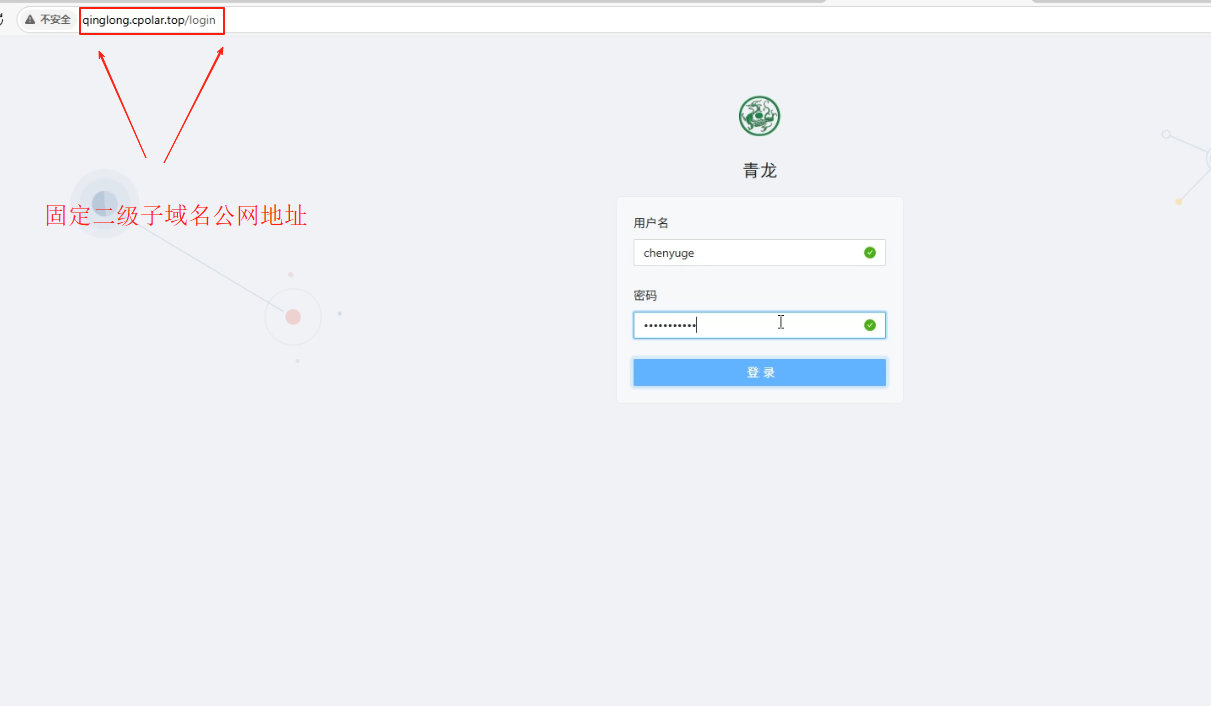 image-20250623162901454