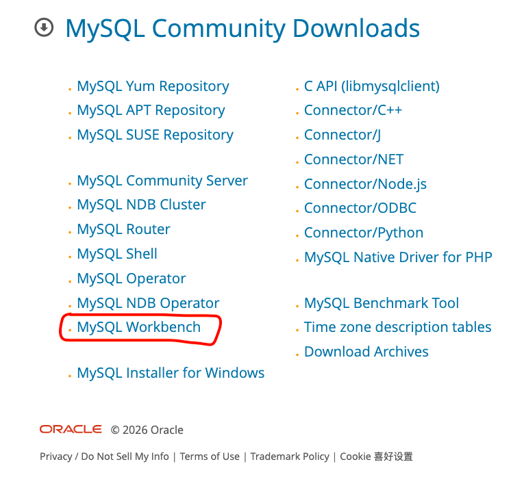 image-20260116233231358