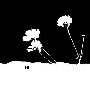 image-20250723190549491