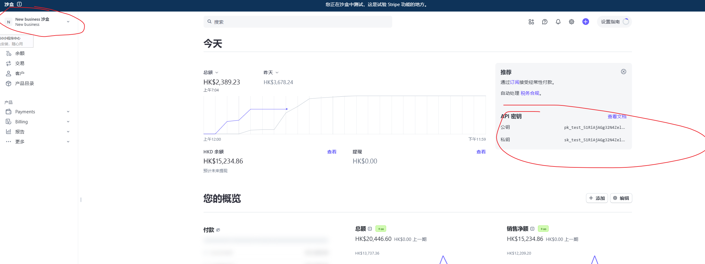 Stripe支付多账号多项目_stripe 沙盒账号-CSDN博客