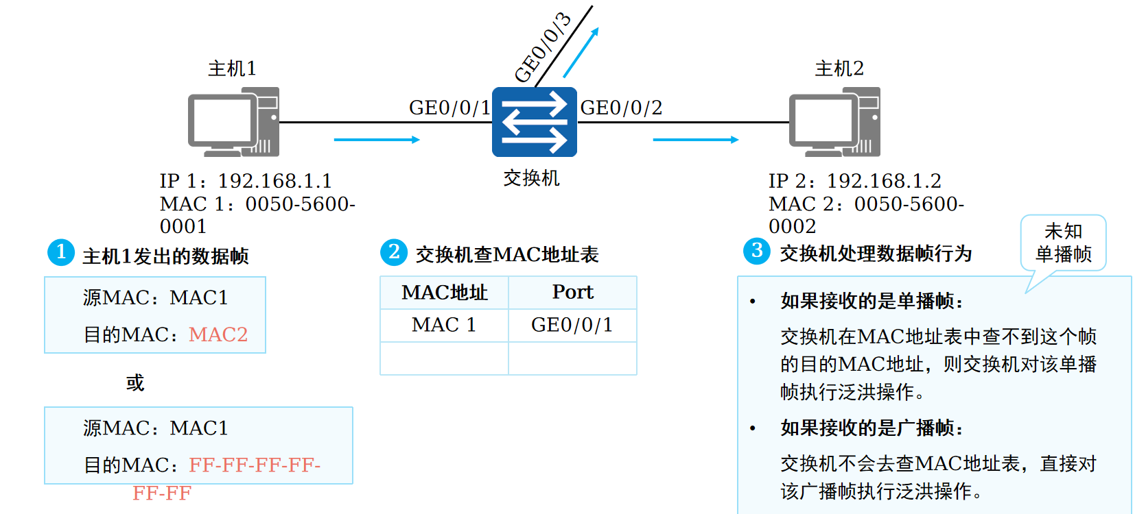 泛洪