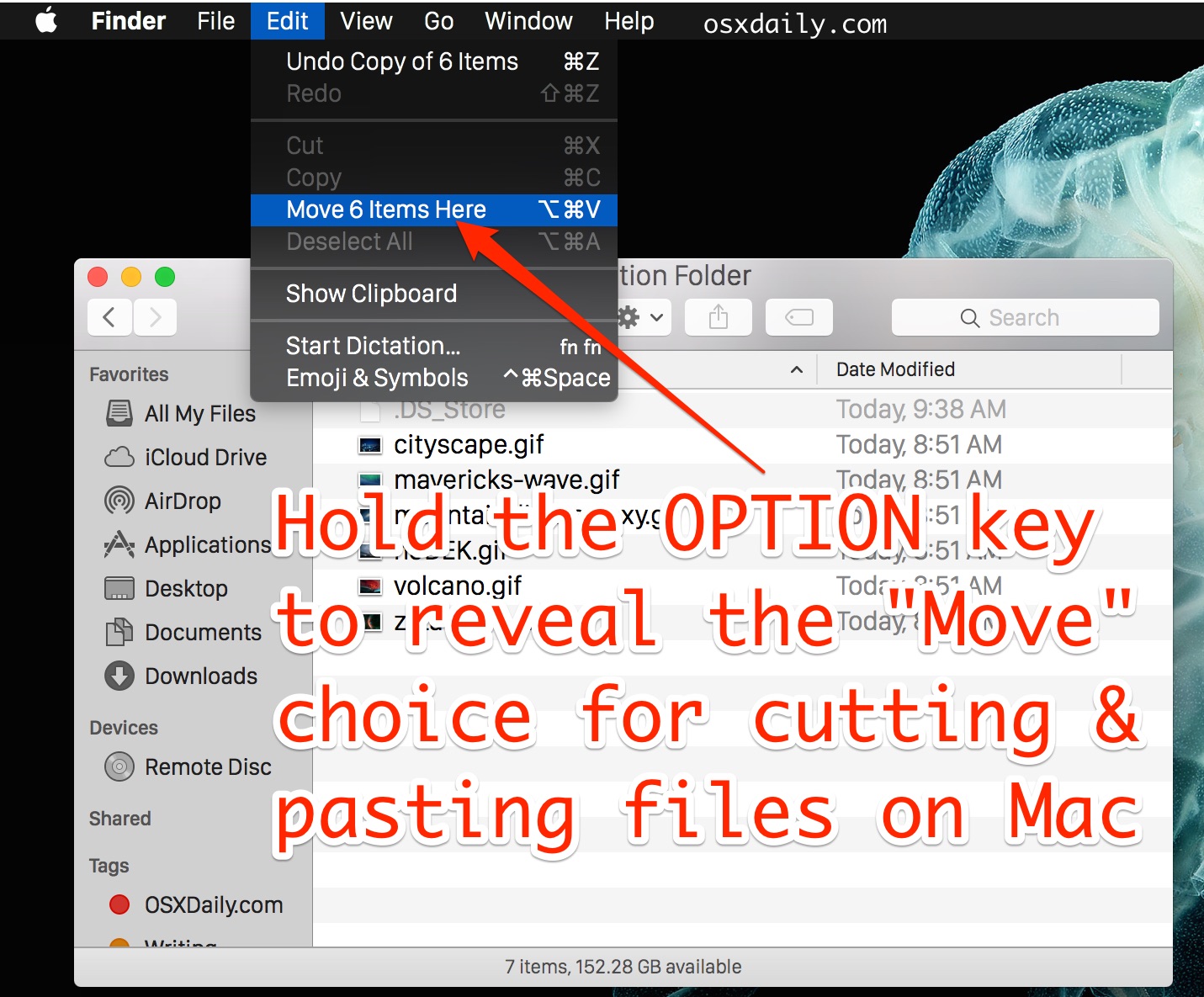 Mac Finder 移动文件菜单