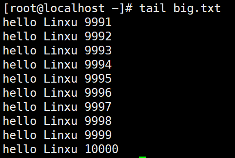 image-20241112221057125