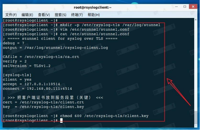 技巧 | Rsyslog + TLS 搭建安全日志服务器全攻略_syslog tls-CSDN博客