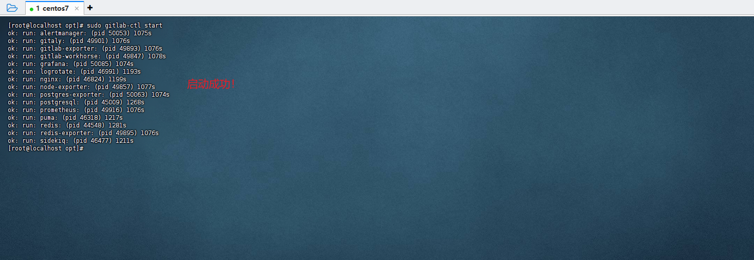 image-20250801180315843