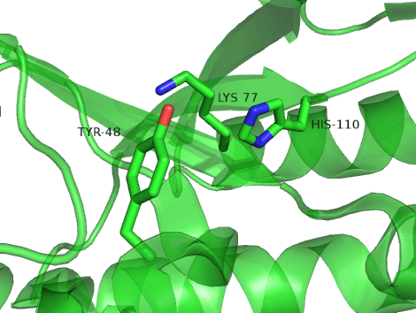 pymol入门教程-1:-CSDN博客