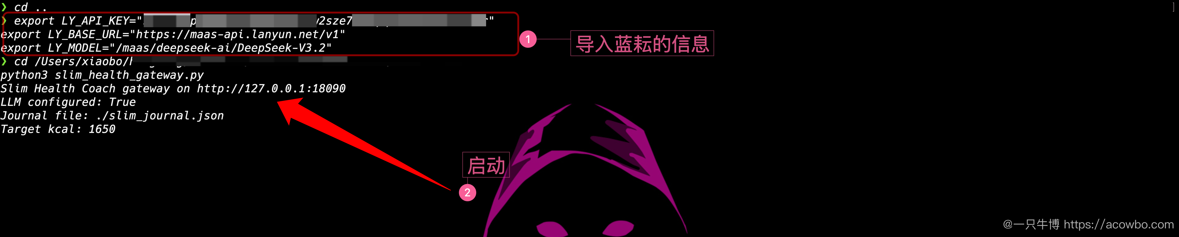 导入蓝耘配置并启动网关,Key 打码