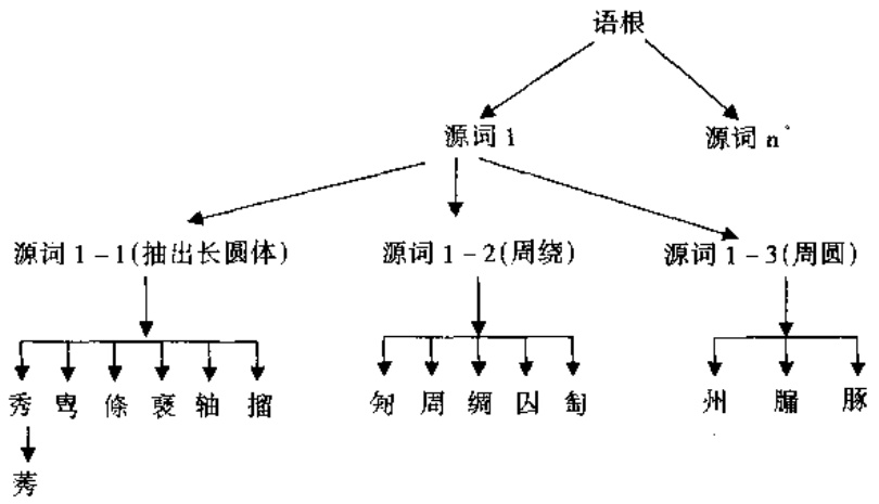 词族谱系形式图