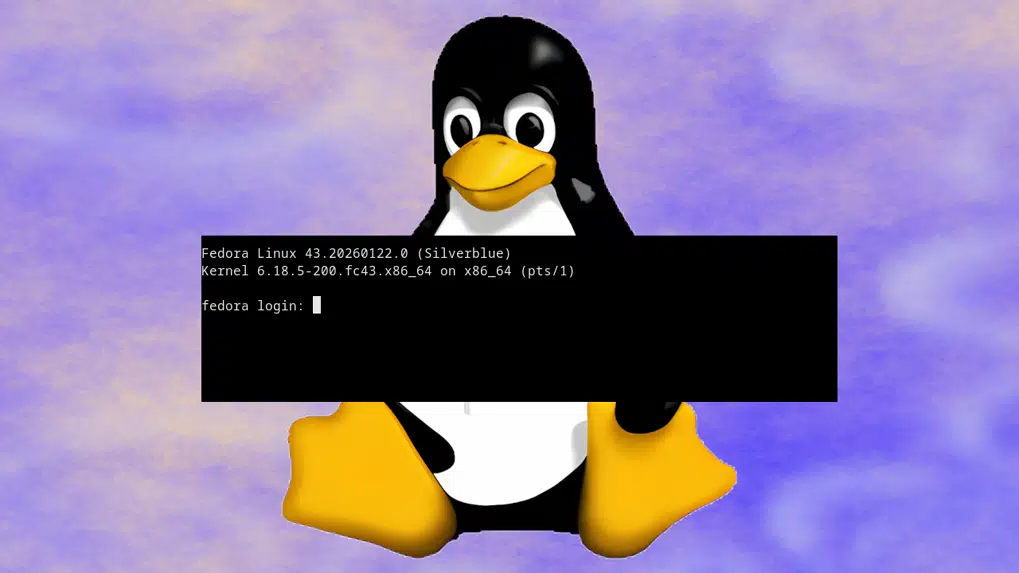 为什么Linux命令总是这么短?-CSDN博客