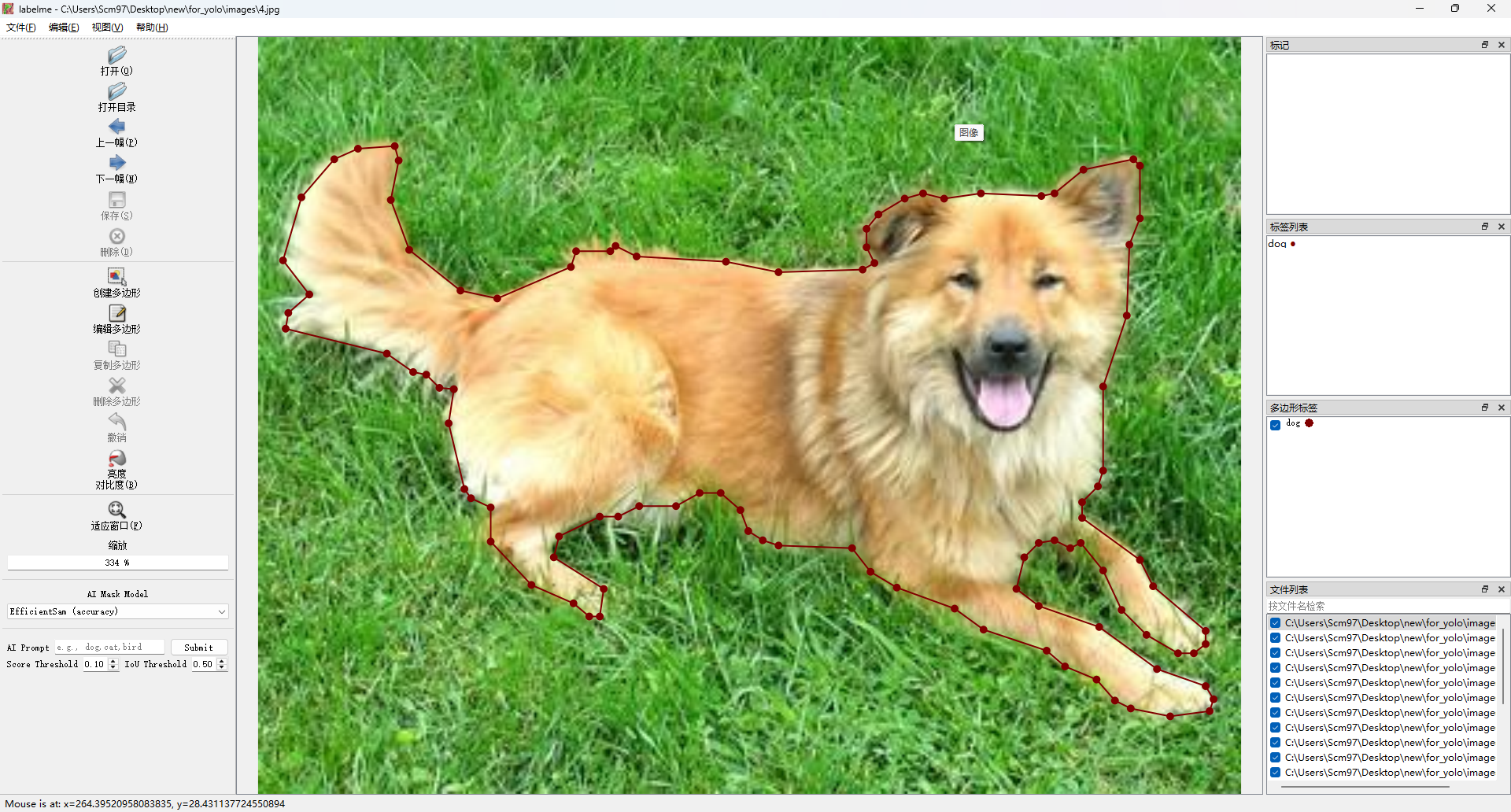 image-20250129231657377