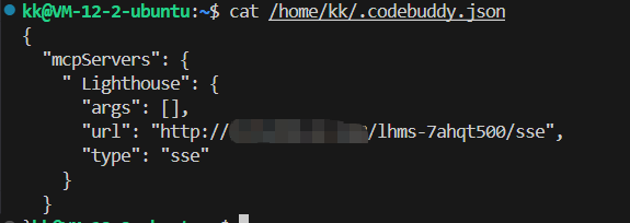 查看 Codebuddy 配置文件