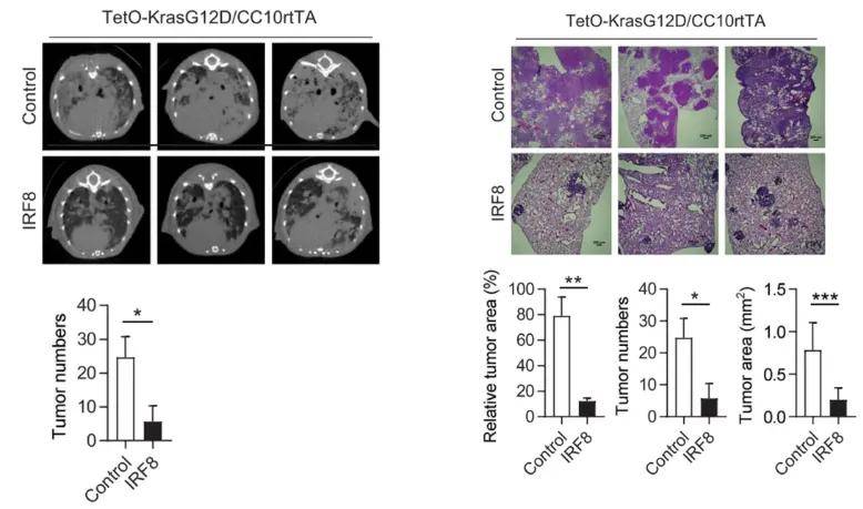 生物测试：Micro-CT深入解析_as microcomputed tomography (microct)-CSDN博客