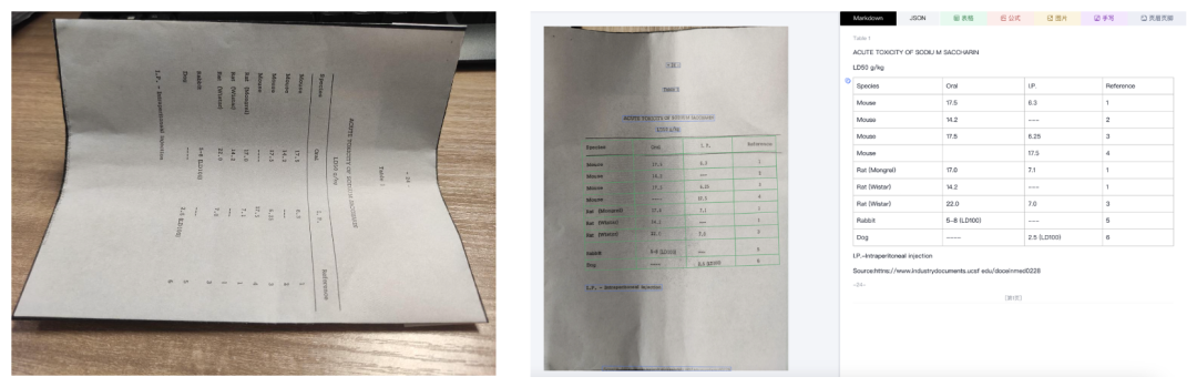 样本原图、预处理矫正结果与解析输出