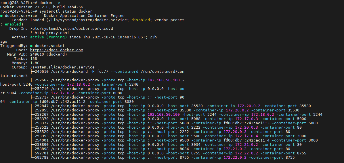 Checking Docker runtime status