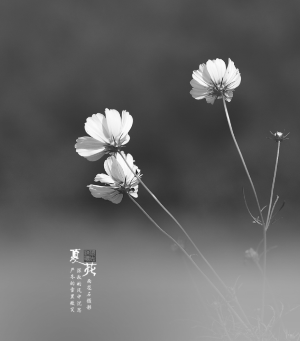 image-20250723183749481
