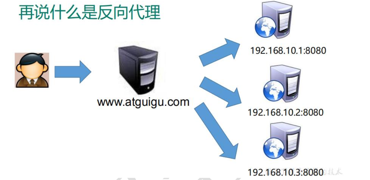 image-20240919101016718