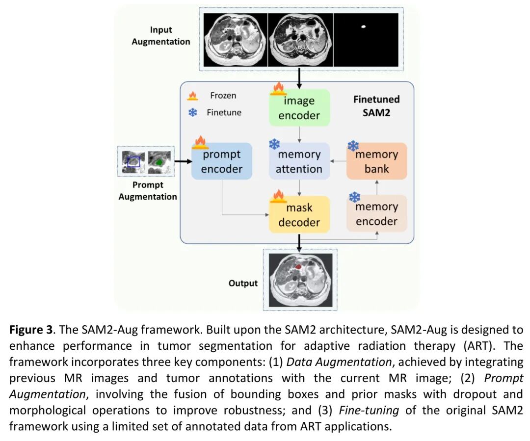 Sam2 Mask 彻底搞懂SAM2-Aug(非常详细)!一文看透医学影像分割新范式,如何让模型“指哪打哪”。-CSDN博客
