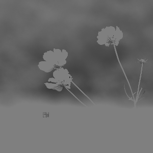 image-20250723190928122