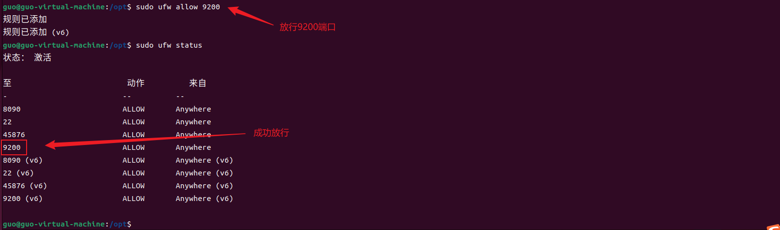 image-20250808191822294