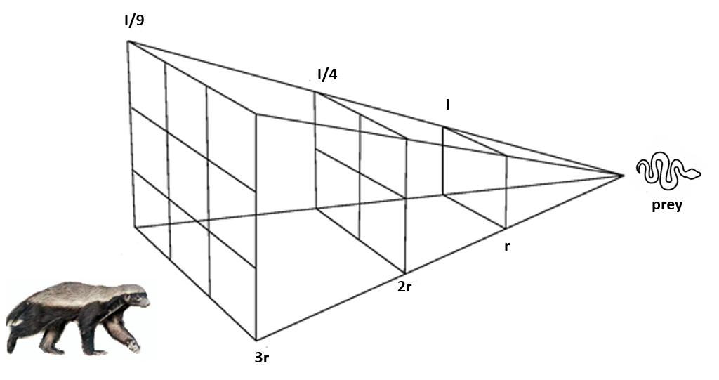 图9：平方反比定律技术