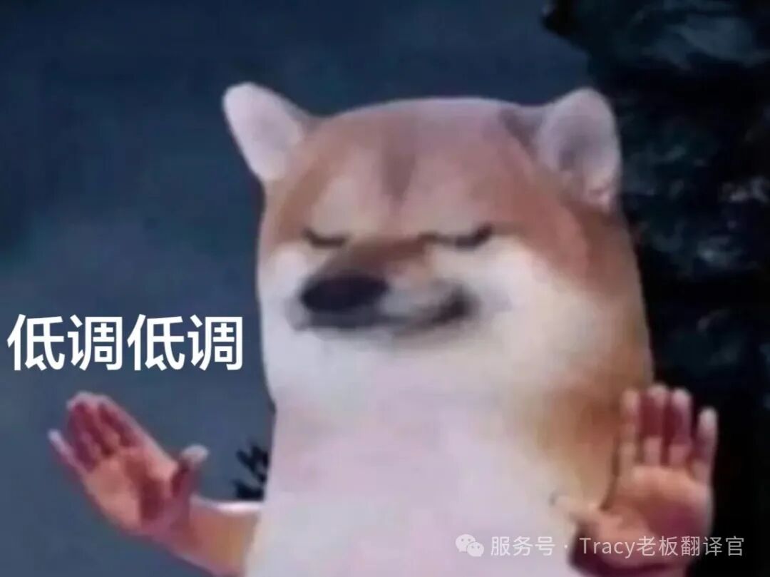 183c21503d1905f6f90bdb09f06ff06d.jpeg