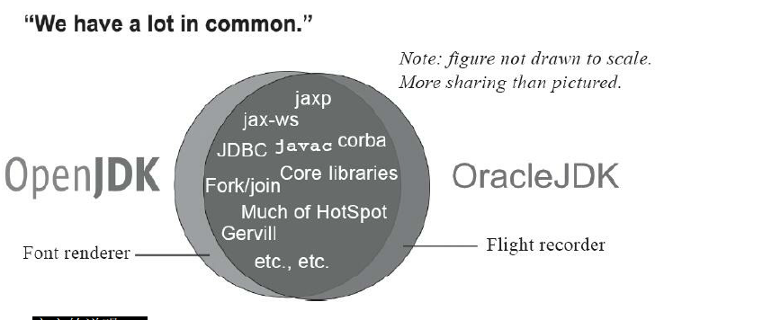 image-20241211090340800