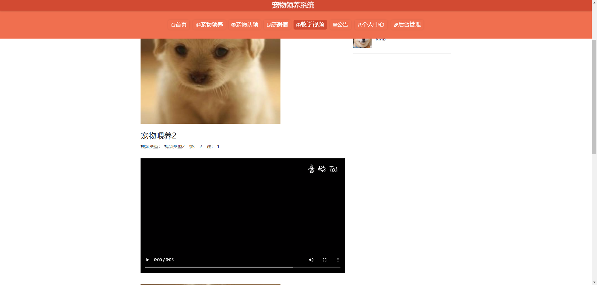 教学视频界面
