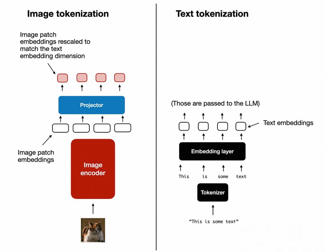 Image vs text tokenization