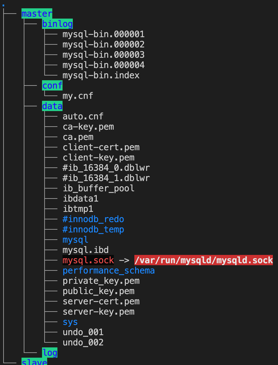 image-20250308151013657