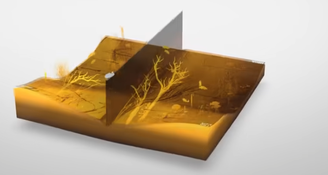 image-20251219182722426