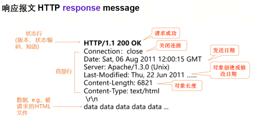 image-20250524164020143