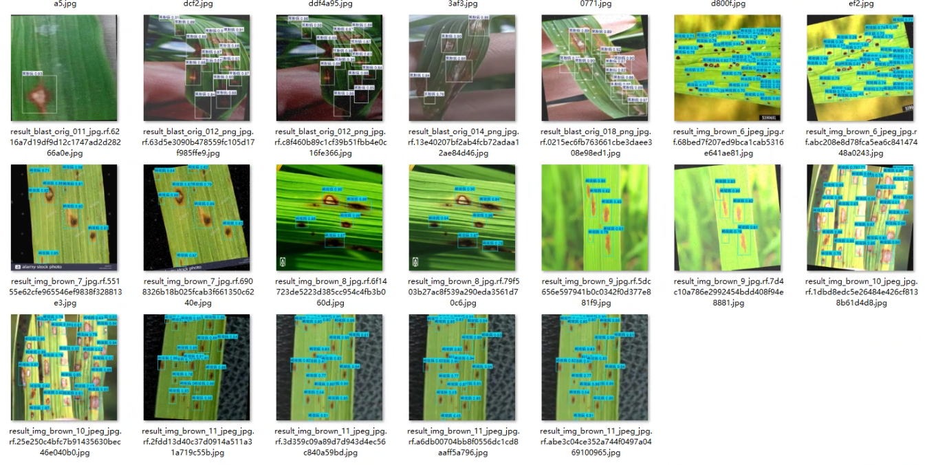 image-20251109141502324