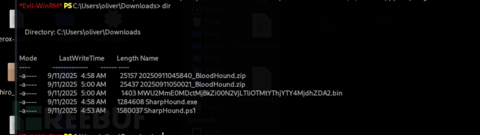 image-16.png