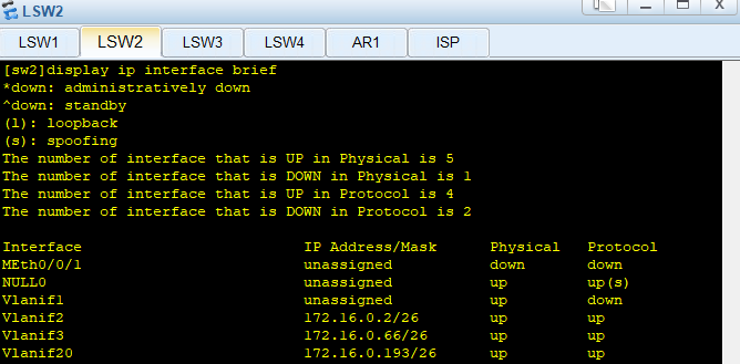 image-20250330003611813