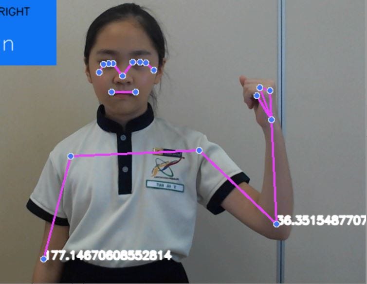 肩部、肘部和手腕之间角度的显示