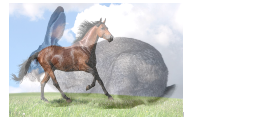 基于python的opencv的学习和实战_归一化