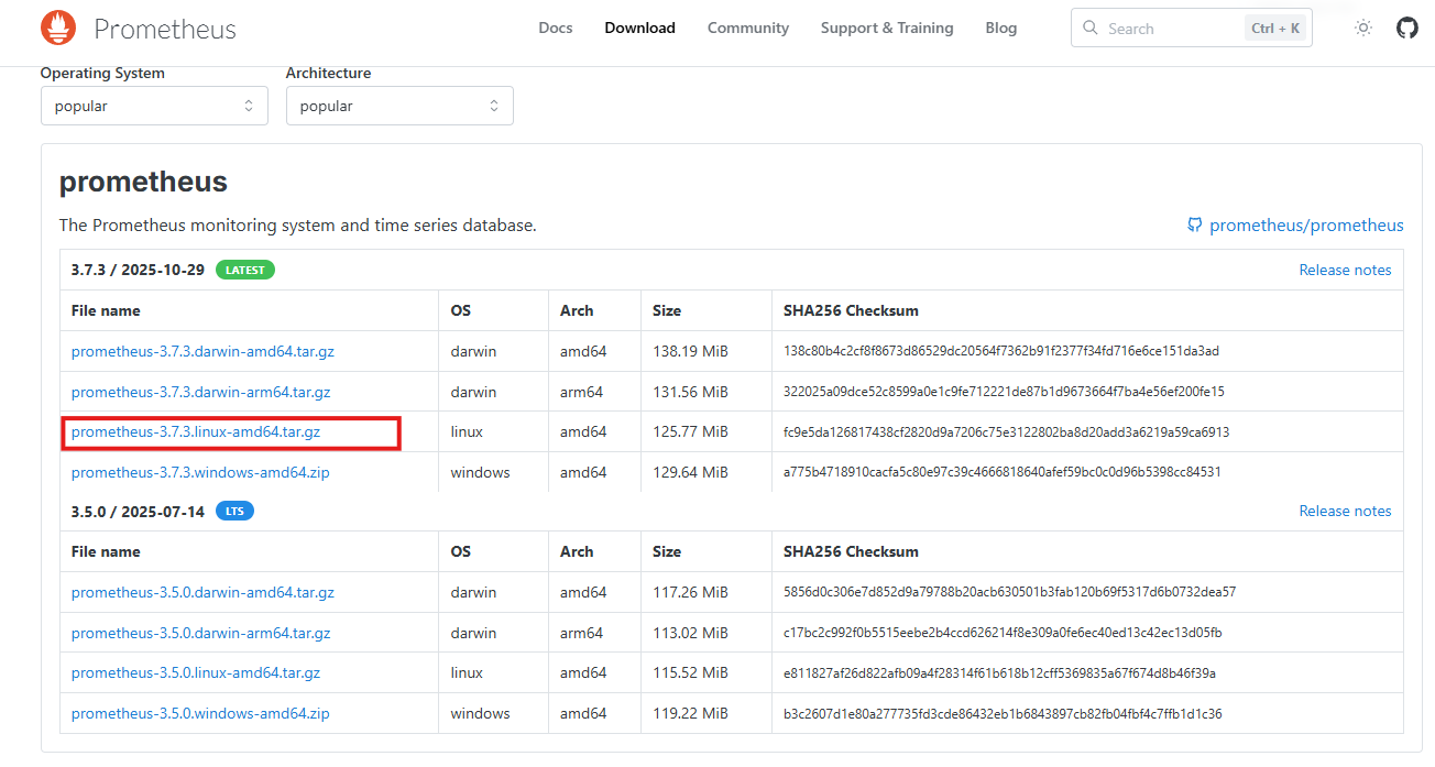 image-20251111150255214