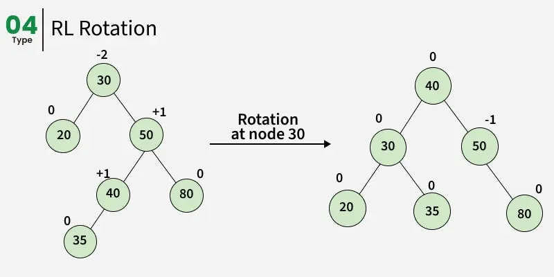 right_left_rotation_30.webp