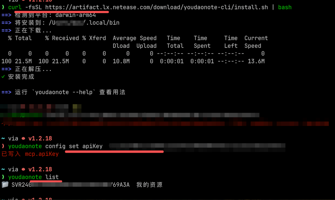 CLI 配置验证