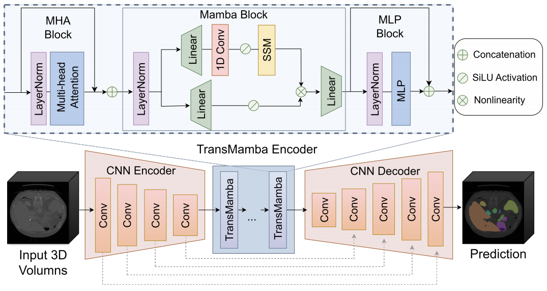 CNN+Mamba+UNet，“三巨头” 合体！_hetero-unet: heterogeneous transformer with ...
