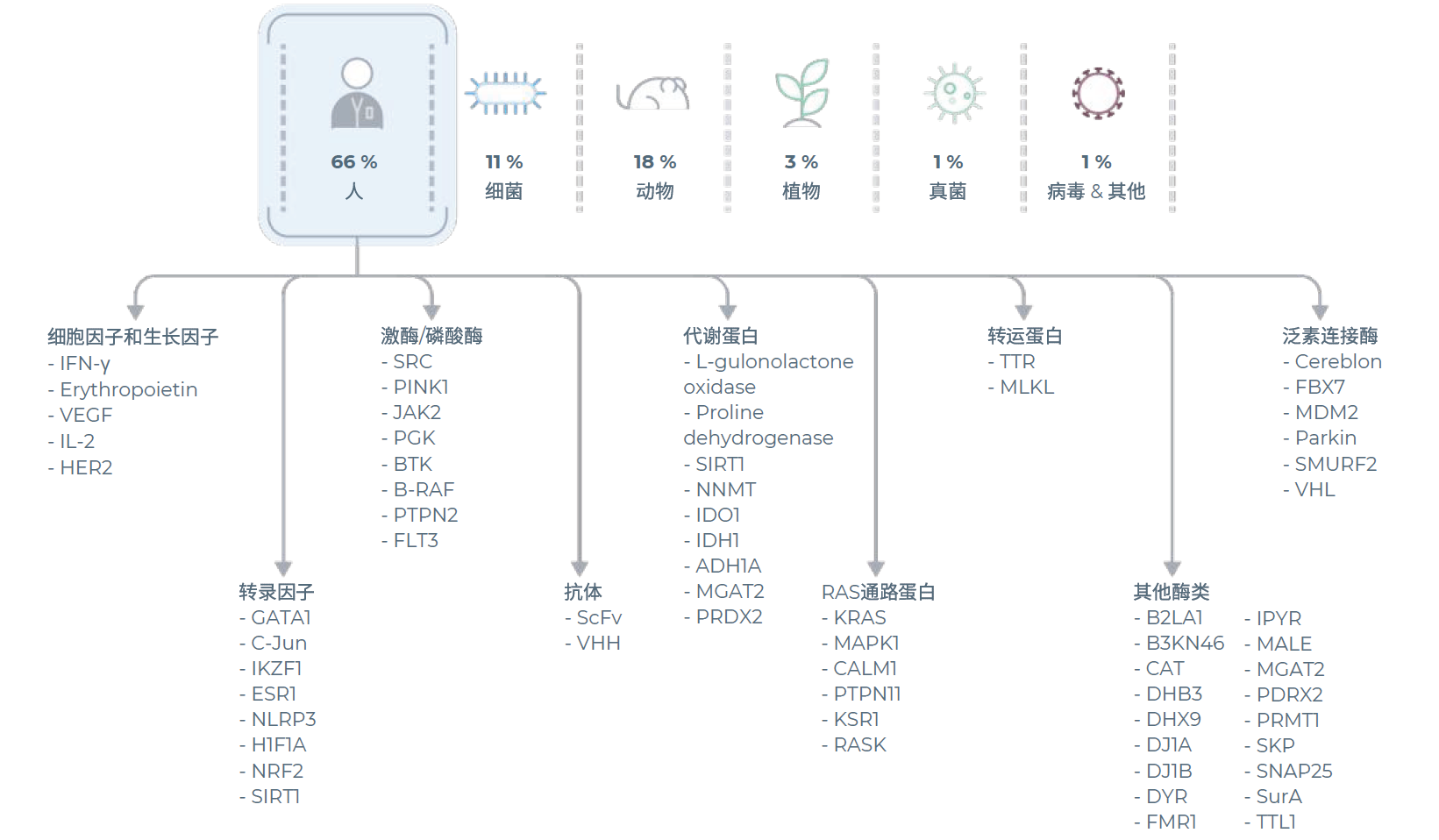 eProtein Discovery已表达超过2000种蛋白