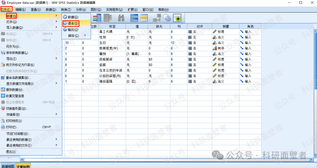 Sps File Included SPSS软件窗口和文件格式介绍_spv文件-CSDN博客